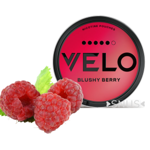 VELO Blushy Berry Intense 11MG